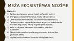 Presentations 'Meža ekosistēma', 12.