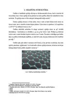 Research Papers 'Grafēns', 4.