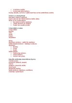 Summaries, Notes 'Saistību tiesību teorija', 4.