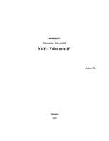 Research Papers 'VoIP - voice over IP', 1.