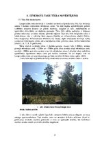 Research Papers 'Ainavu veidošana. Langervaldes meža labiekārtojuma projekts', 17.