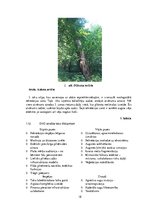 Research Papers 'Ainavu veidošana. Langervaldes meža labiekārtojuma projekts', 18.