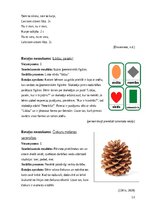 Samples 'Rotaļu kopa sociālo prasmju pilnveidei', 13.