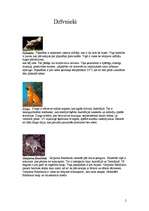 Research Papers 'Austrālijas dzīvnieki, augi un Kakadu nacionālais parks', 2.