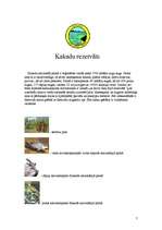 Research Papers 'Austrālijas dzīvnieki, augi un Kakadu nacionālais parks', 7.