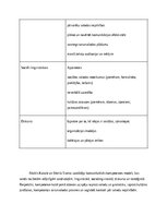 Term Papers 'Komunikatīvās kompetences attīstīšana angļu valodas stundās 1.klasē', 11.