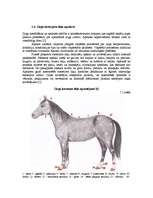 Research Papers 'Selekcijas darbs zirgkopībā', 8.