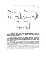 Research Papers 'Selekcijas darbs zirgkopībā', 12.