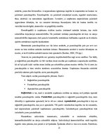 Research Papers 'Komercdarbības finansēšanas avoti, pamatprincipi un problēmas Latvijā', 13.
