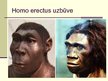 Presentations 'Cilvēka attīstības stadija "Homo erectus"', 6.
