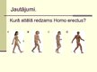 Presentations 'Cilvēka attīstības stadija "Homo erectus"', 8.