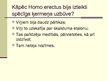 Presentations 'Cilvēka attīstības stadija "Homo erectus"', 9.