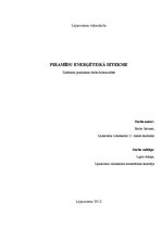 Research Papers 'Piramīdu enerģētiskā ietekme', 1.