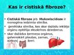 Presentations 'Cisitskā fibroze', 2.