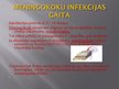 Presentations 'Meningokoku infekcija', 3.