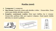 Presentations 'Rotaļdarbība un starpdisciplinaritāte Integrēta mācību satura polānošana tematam', 1.