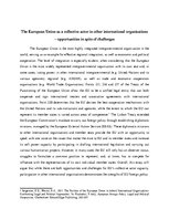 Essays 'EU as a Collective Actor in Other International Organizations - Opportunities in', 1.