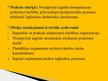 Presentations 'Prakses atskaites prezentācija uzņēmumā VAS "Latvijas Pasts"', 2.