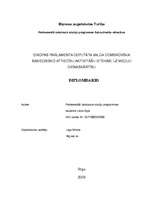 Term Papers 'Eiropas parlamenta deputāta Valda Dombrovska sabiedrisko attiecību aktivitāšu ie', 1.