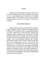 Research Papers 'Dabasgāze', 2.