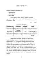 Term Papers 'Elektrotransporta uzlādes attīstība izmantojot saules paneļus, kā atjaunojamu en', 19.