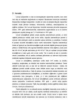 Term Papers 'Zāģmateriālu kustības uzskaite kokapstrādes uzņēmumā', 6.