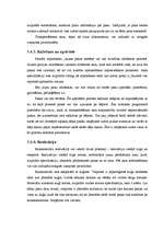 Term Papers 'Zāģmateriālu kustības uzskaite kokapstrādes uzņēmumā', 33.