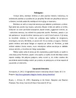 Essays 'Reklāmas tēlu reprezentācija antireklāmās', 6.