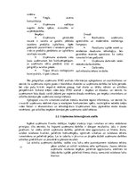 Research Papers 'Tehnoloģiskais audits poligrāfijas uzņēmumā SIA "MP Druka"', 12.