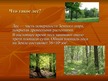 Presentations 'Последствия массовой вырубки лесов', 2.