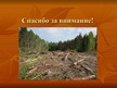 Presentations 'Последствия массовой вырубки лесов', 9.