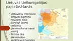 Presentations 'Viduslaiku Lietuvas valsts', 5.
