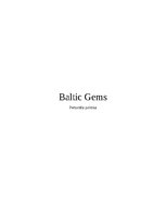 Business Plans 'Baltic gems', 49.