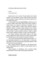 Research Papers 'Čehijas Republikas un Latvijas izglītības sistēmas', 14.