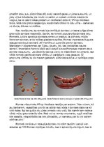 Essays 'Dzintara priekšmeti senvēstures periodā Latvijas Nacionālā vēstures muzeja ekspo', 4.
