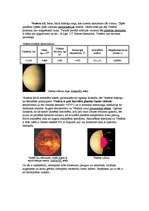 Research Papers 'Zemes grupas planētas', 2.