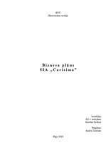 Business Plans 'Biznesa plāns skaistumkopšanas salonam', 1.