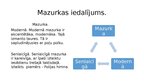 Presentations 'Mazurka', 5.