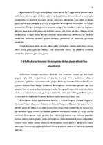 Term Papers 'Vinila plašu lietotāju subkultūra', 14.