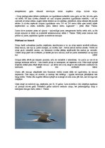 Research Papers 'Latvijas un pasaules interesantākie putni', 4.