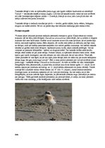 Research Papers 'Latvijas un pasaules interesantākie putni', 7.