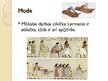 Presentations 'Mode un mēbeles Ēģiptē', 10.