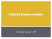 Presentations 'Facial Expressions', 1.