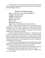 Research Papers 'Latvijas teritorija no 16. līdz 18.gadsimtam', 5.