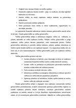 Term Papers 'SIA "Andrs" darbības analīze un attīstības iespējas sporta un tūrisma preču tird', 17.