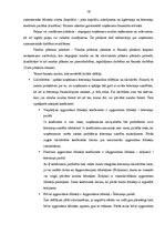 Term Papers 'SIA "Andrs" darbības analīze un attīstības iespējas sporta un tūrisma preču tird', 19.
