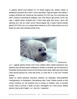 Research Papers 'Vides piesārņojuma ietekme uz Baltijas jūras zīdītāju populācijām', 6.