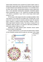 Term Papers 'CpG oligonukleotīdu pakošana hepatīta C vīrusa nestrukturālā proteīna trīs epito', 17.