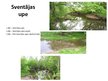 Presentations 'Ūdens ekosistēma - Sventājas upe', 4.