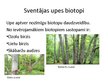Presentations 'Ūdens ekosistēma - Sventājas upe', 9.